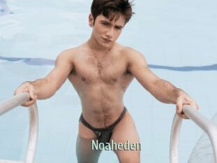 Noaheden