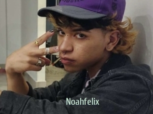 noahfelix Sexcam Zone