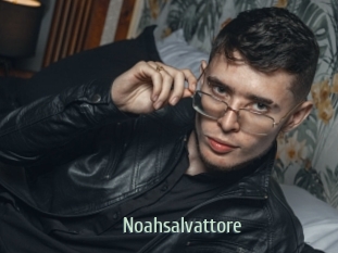 Noahsalvattore