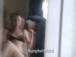 Nymphettebird