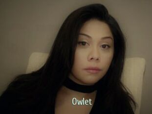 _Owlet_