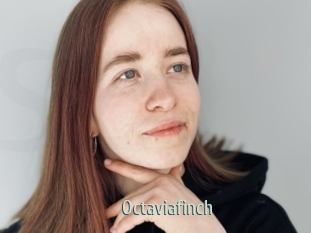 Octaviafinch