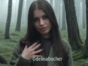 Odelinabucher