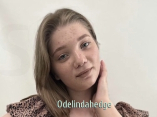 Odelindahedge