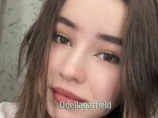 Odellagarfield