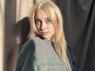 Odelynhammett