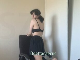 Odettacaecus