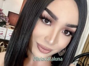 Oliviacataluna