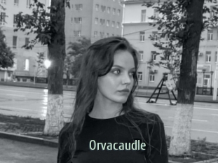 Orvacaudle