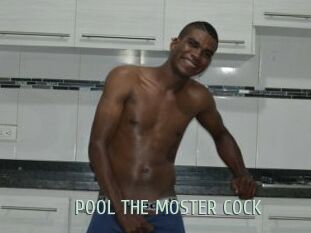 POOL_THE_MOSTER_COCK