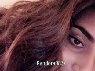 Pandora9877