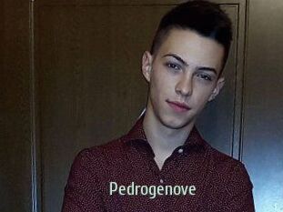 Pedrogenove