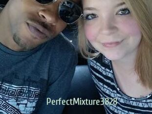 PerfectMixture3828