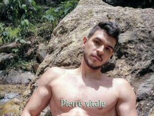 Pierre_vitale