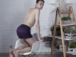 PlayfulMrR
