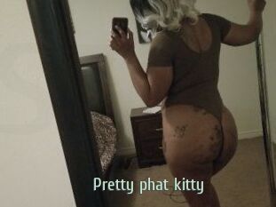 Pretty_phat_kitty