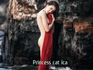 Princess_cat_ica
