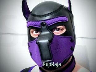 PupRaja