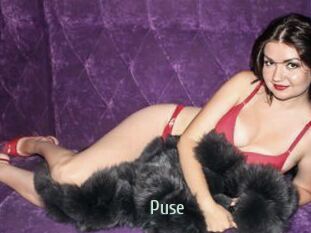 Puse