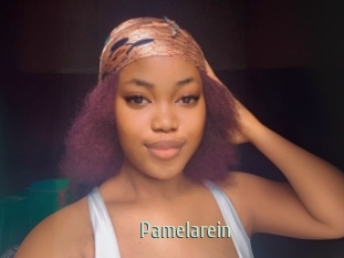 Pamelarein