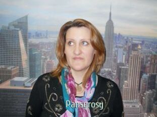 Pansyrosy