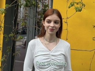 Peacefenning