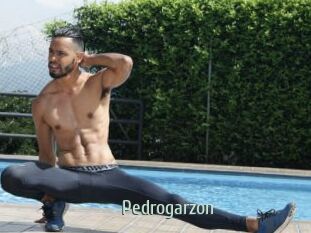 Pedrogarzon