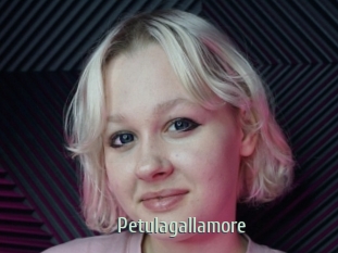 Petulagallamore