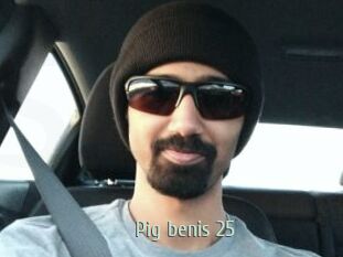 Pig_benis_25