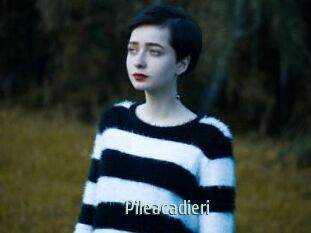 Pileacadieri