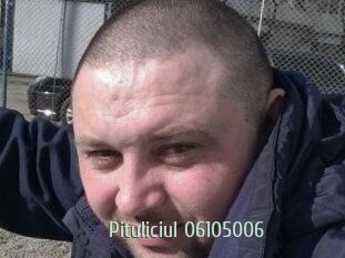 Pituliciul-06105006