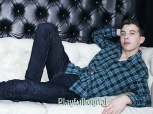 Playfulboynoi