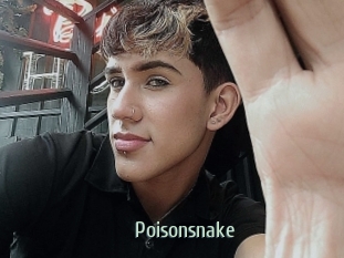 Poisonsnake