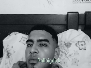 Pollbigdick