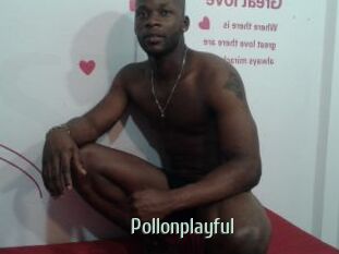 Pollonplayful