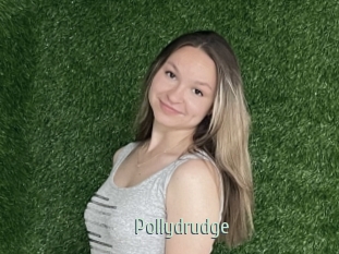Pollydrudge