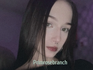 Primrosebranch