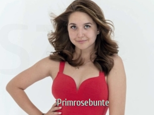 Primrosebunte