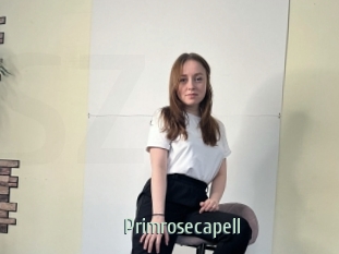 Primrosecapell