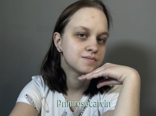 Primrosecarvin