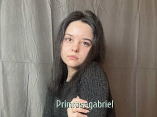 Primrosegabriel