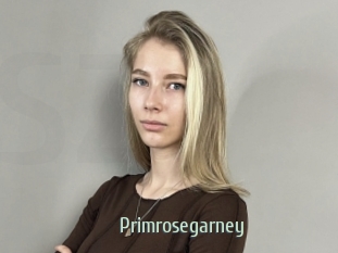 Primrosegarney