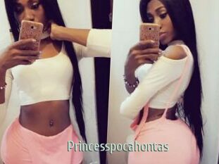 Princesspocahontas