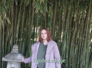 Prudencefigge
