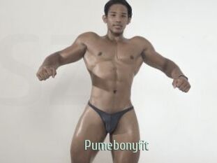 Pumebonyfit