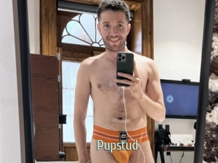 Pupstud