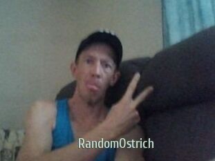 RandomOstrich