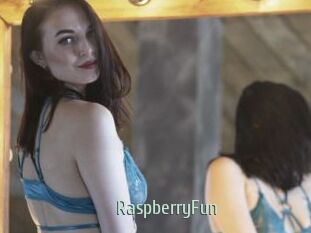 RaspberryFun