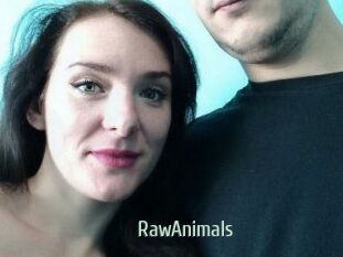 RawAnimals