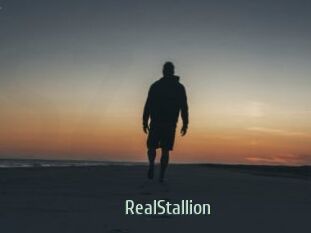 RealStallion
